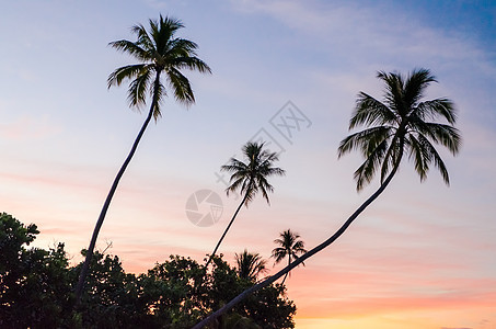 法属波利尼西亚Moorea热带日落图片