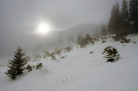 冬季寒冬平静的山地景观 日出 树木 冰 雪堆 霜图片