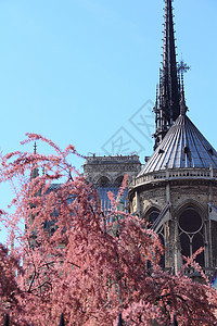 巴黎大教堂圣母会 建筑 地标 旅游 教会 建筑学图片