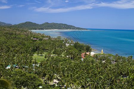 Koh Samui 的视图点 椰子 天堂 天空图片