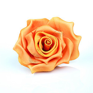 橙玫瑰 假期 庆祝活动 花 美丽 情人节 花瓣 爱背景图片