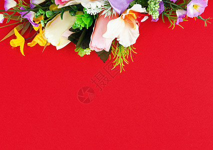 鲜花问候花花安排 花朵 广告 红色的 自然 信 白色的图片