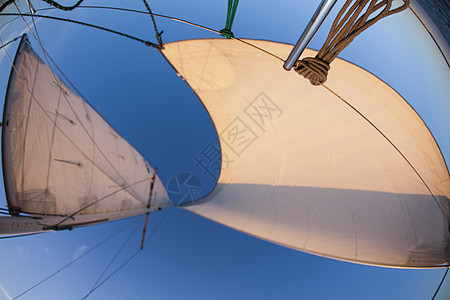 航行在波罗的海上 运动 海洋 地中海 蓝色的 划船图片