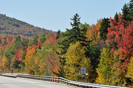 新罕布什尔州白山国家森林瀑布颜色组织 秋天图片