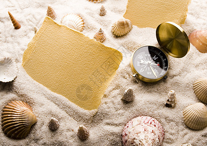 框架 夏季和空白复制空间 贝壳 壳 自然 生活图片