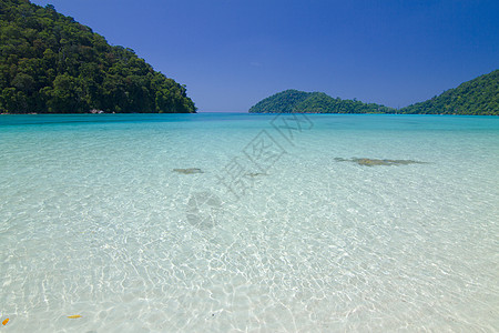 泰国的景象 海浪 水晶 水 太阳 游泳 旅游 季节 背包图片