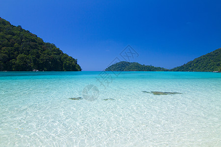 泰国的景象 热带 海岸线 珊瑚 夏天 场景 天空 宁静 日光浴图片