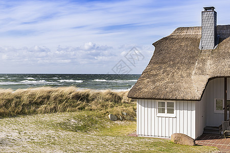 带沙丘草和房屋的波罗的海图片
