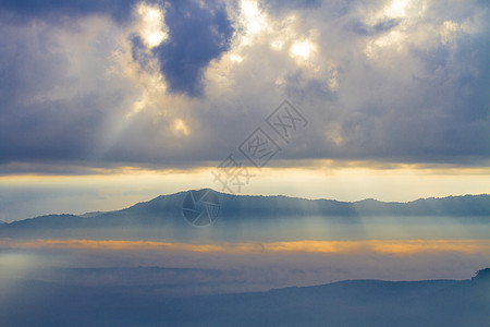 高山天空 黎明 植物 森林 阿尔卑斯山 公园 早晨图片