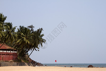 GOA 印度海滩 美丽的棕榈树 安详 旅行 泻湖图片