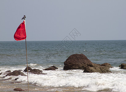 红旗 上面有鸟儿坐着的红旗 GOA 印度海滩图片