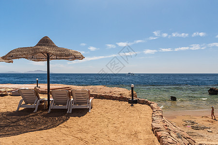 在埃及沙姆沙伊赫豪华酒店海滩的沙滩 树 休息室图片
