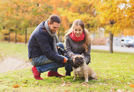 秋天公园里 一对带着狗笑着的情侣 男人 自然图片