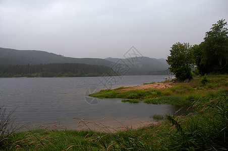 提提西湖 Titisee 湖 蒂蒂湖 森林 船图片