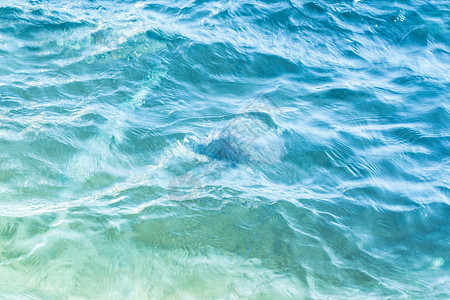 沙滩透明水; 风景 场景 水域 沙姆沙伊赫 加勒比地区 庆祝图片