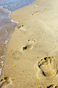 日落时的海滩 海浪和脚步 自然 赤脚 晴天 打印图片