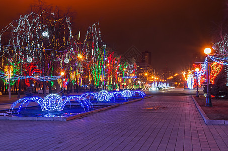 圣诞灯光 蓝色的 夜间 点燃 公园 晚上 庆祝图片