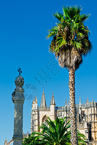 天主教会 历史性 手工线 葡萄牙语 窗户 树 装饰风格 宗教图片