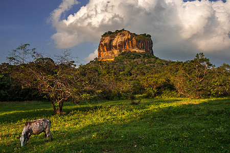 斯里兰卡Sigiriya狮子石石堡垒 晴天图片