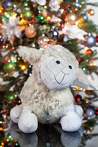 玩具和新年树 漂亮的 礼物 生活 小狗 软盘 毛茸茸的 圣诞节图片