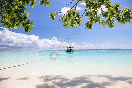 在泰国安达曼Tachai岛乘船的美丽水晶清海和白沙滩 海岸线 石头图片