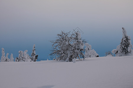 山中的冬天 寒冷的 季节性的 自然 雪畏缩 白色的 越野 圆角图片