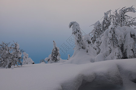 雪 冻结 霜 圣诞节 寒冷的 水晶 季节背景图片