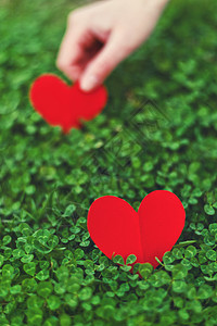 绿色木质红纸红纸红心 手 花园 传统的 爱背景图片
