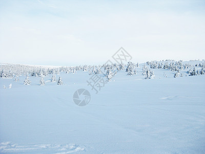 冬季风景 修舍恩 雪景 季节 白色的 挪威图片