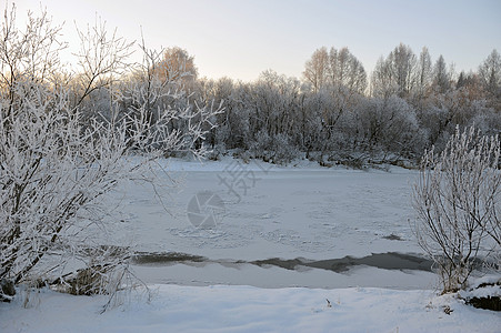 河水冻僵了 衬套 仙境 森林 霜 暴风雪 蓝色的 深的 早晨图片