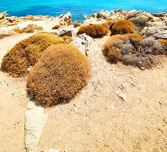 和蓝天的海平沙滩之光中 希腊 夏天 米科诺斯岛 海景图片
