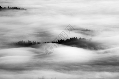 在喀尔巴阡山脉的薄雾林中清晨有光图片