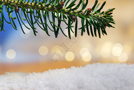 带有bokeh灯光的树枝和人造雪 白色的 植物背景图片