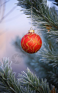 红球挂在紧闭的fir -tree上 丝带图片