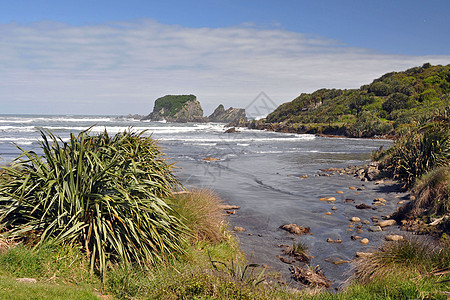 秋风角 南岛 新西兰 走 浪潮 海景 人行道 塔斯明海 荒野图片