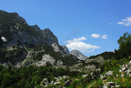 都灵 蓝色的 顶峰 秋天 石头 山 欧洲 公园 草地图片