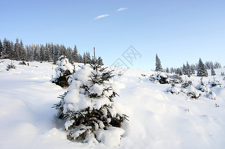冬季寒冬平静的山地风景 雪覆盖了海面和积雪 精彩的 降雪图片