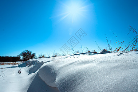 寒冬风中的雪 阳光照耀图片