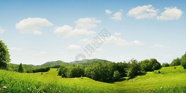 公园 春天 自由 木头 周末 生态 假期 夏天 胡同背景图片