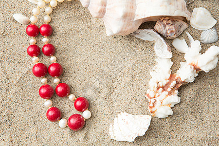 海滩沙滩上的贝壳和项链 时间 珍珠 珍珠母 和平 太阳图片