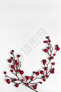 白色的红莓胡利 纹理 浆果 圣诞节 枝条 树 植物学 季节图片
