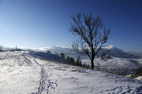 喀尔巴阡山谷被新雪覆盖 大雪遍地 冰 滑雪图片