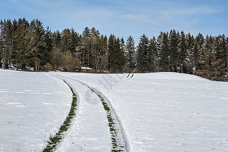 雪中的车轨图片