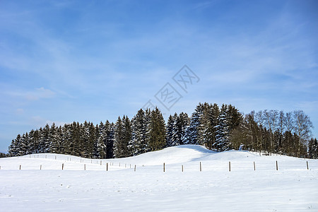 冬季风景 德国巴伐利亚 冰 寒冷的 树木 雪图片