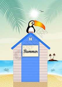 夏季的船舱海 太阳 巨嘴鸟 夏天 卡通片 天堂 岛背景图片