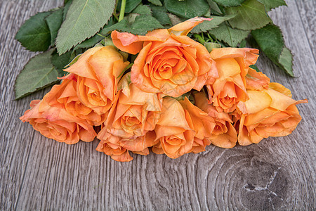 木制背景的橙色玫瑰 木头 情人节 花朵 新鲜的 花的 天图片