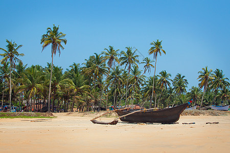 GOA 海岸景观图片