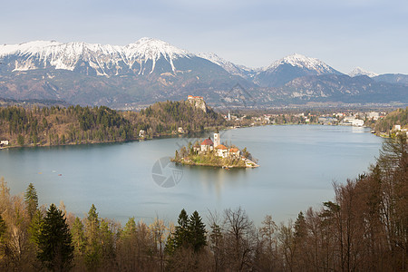 Lake Bled 与岛屿教堂 斯洛文尼亚 欧洲 反射 天空图片