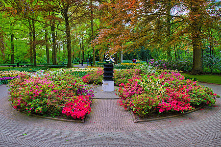 粉红色花朵中的纪念碑 荷兰里萨图片