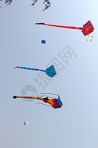 蓝色天空中多彩的风筝 亮度 精神 户外 航班 快乐的图片
